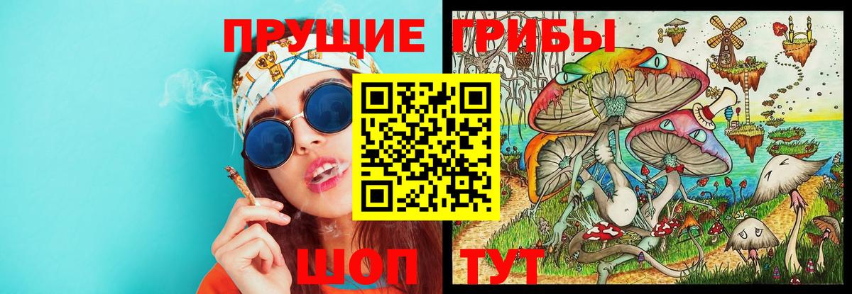 Галлюциногенные грибы Psilocybine cubensis  Псилоцибиновые грибы мухоморы  Вход с VPN  Нижневартовск 